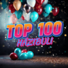 Groove Top 100 - Hzibuli 2025 vol.2